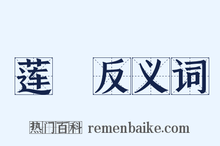 莲菂反义词是什么意思的图片